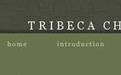 Tribeca Chiropractic